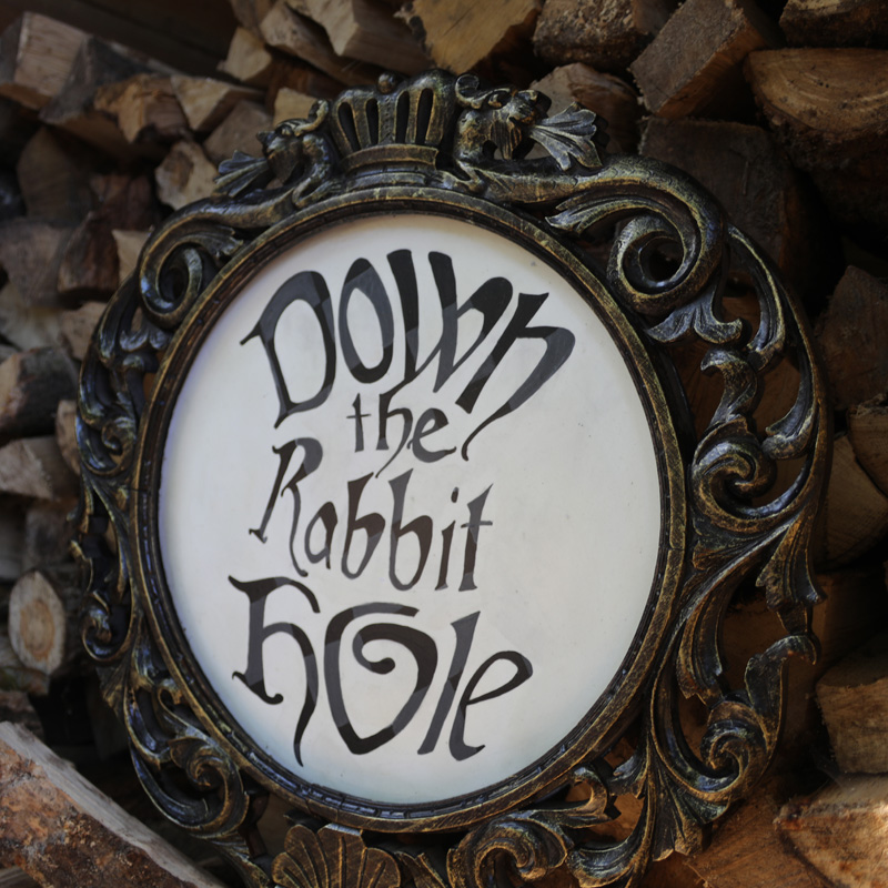 Down The Rabbit Hole Sign 2